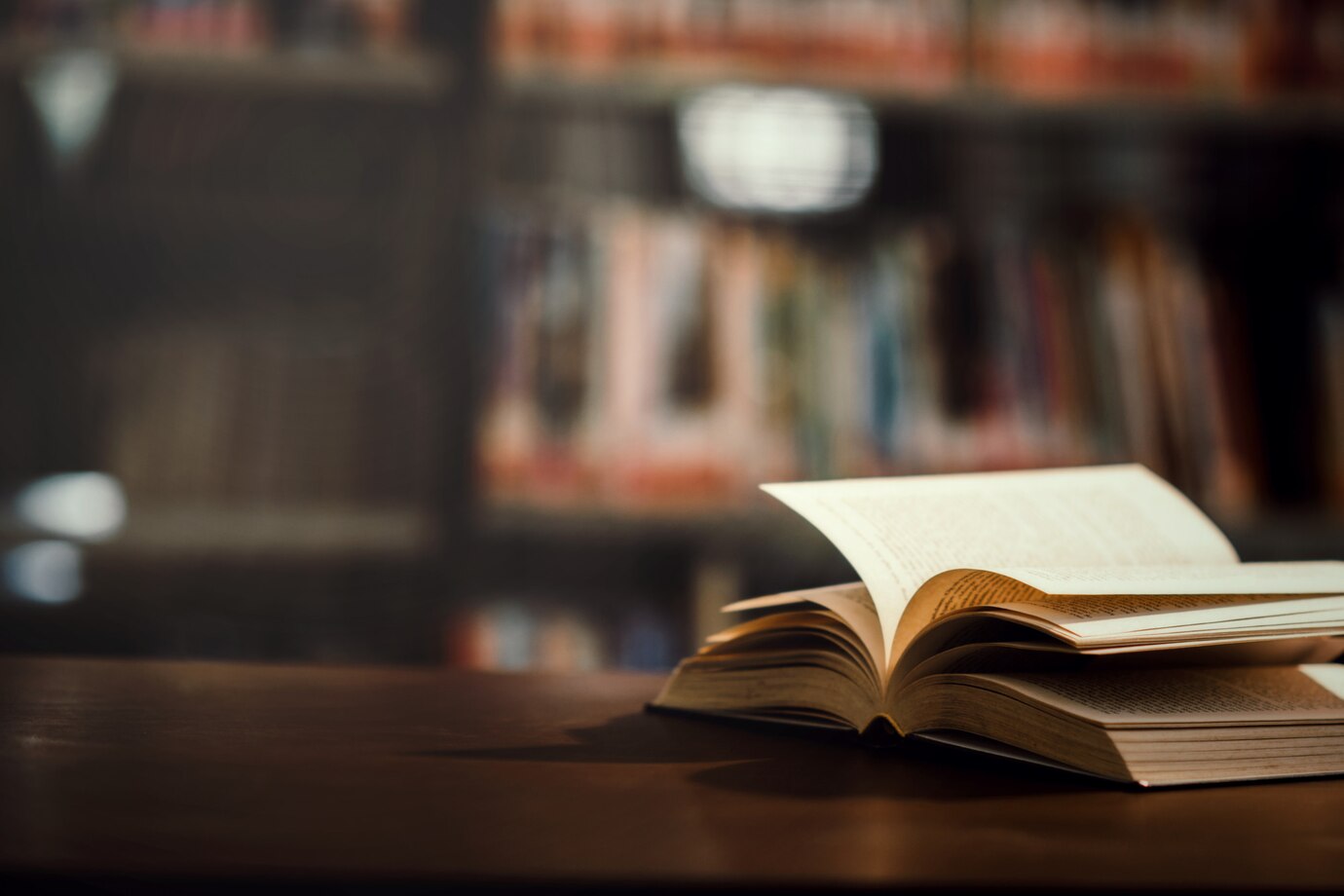 Biblioteca Biblioteca