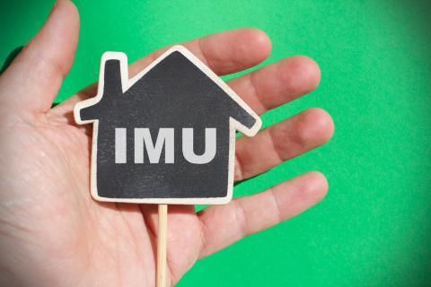 MANIFESTO IMU